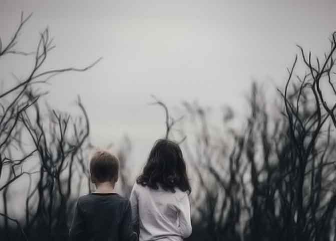 正版激活码的器测压文章